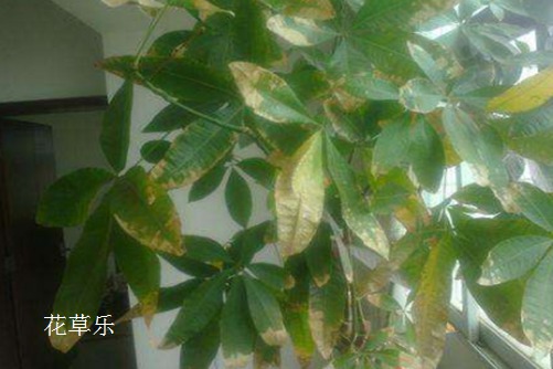 亲嘴的动漫——，探索情感深度与艺术表达的新维度